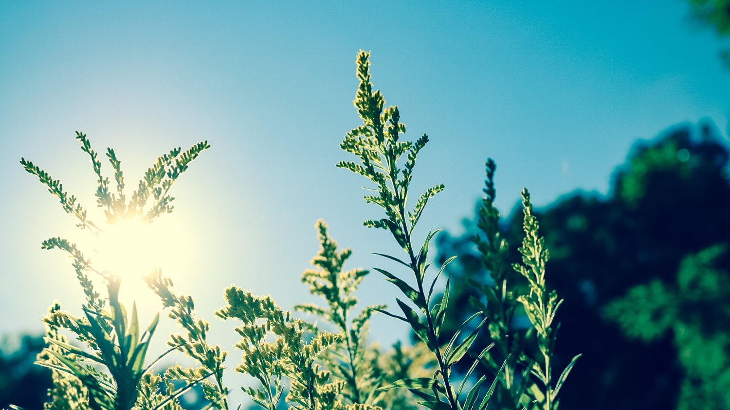 The best tips for your spring/summer beauty routine - Simply Sues Naturally.com
