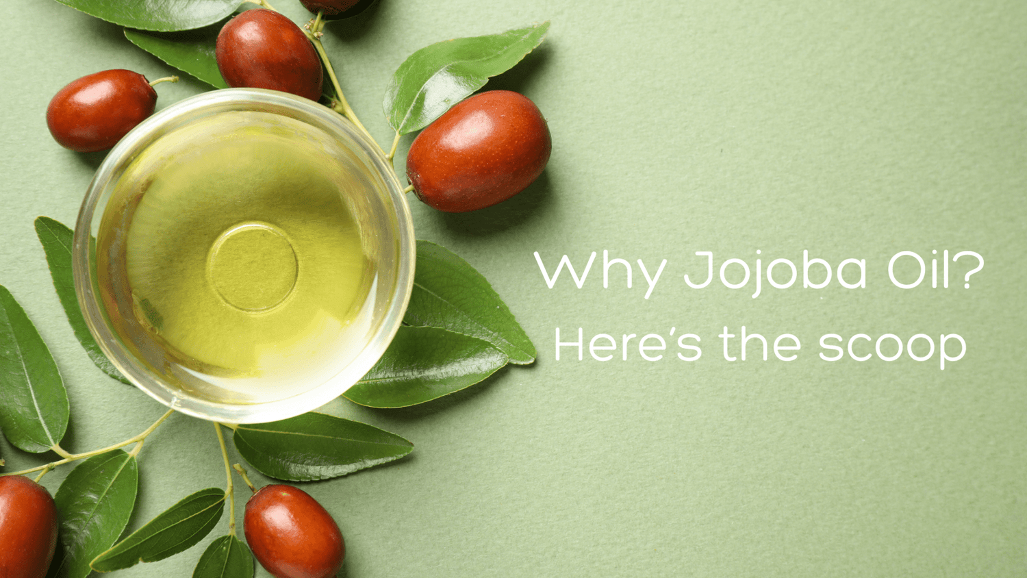 A Luxurious Escape: The Jojoba Oil Experience with Simply Sue's Products - Simply Sues Naturally.com